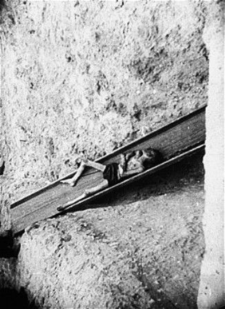 A corpse slides down a shoot into a mass grave in the Warsaw ghetto
